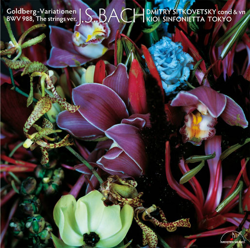 18🈲🍆🍑无套直看片
